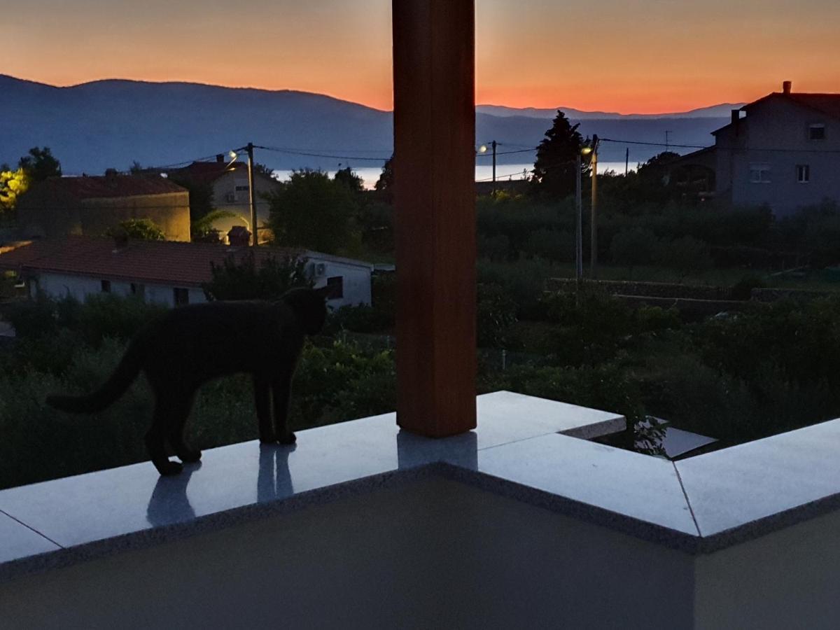 Apartman Luce Lägenhet Brzac Exteriör bild